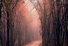 广东广州豹客场发威，2-0战胜大连鲲城喜迎两连胜.