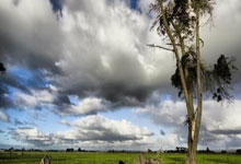 j9九游会：[国足]国足新一期集训名单出炉.